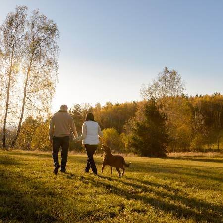 Couple walking their dog through a field | happy retirement