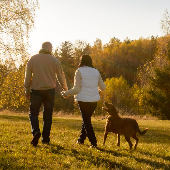 Couple walking their dog | No obligation pension check